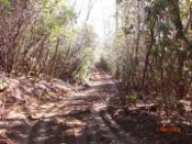 driveway cut in